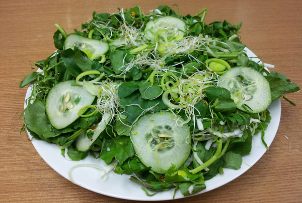 Salada Verde Detox - Salada Verde Detox
