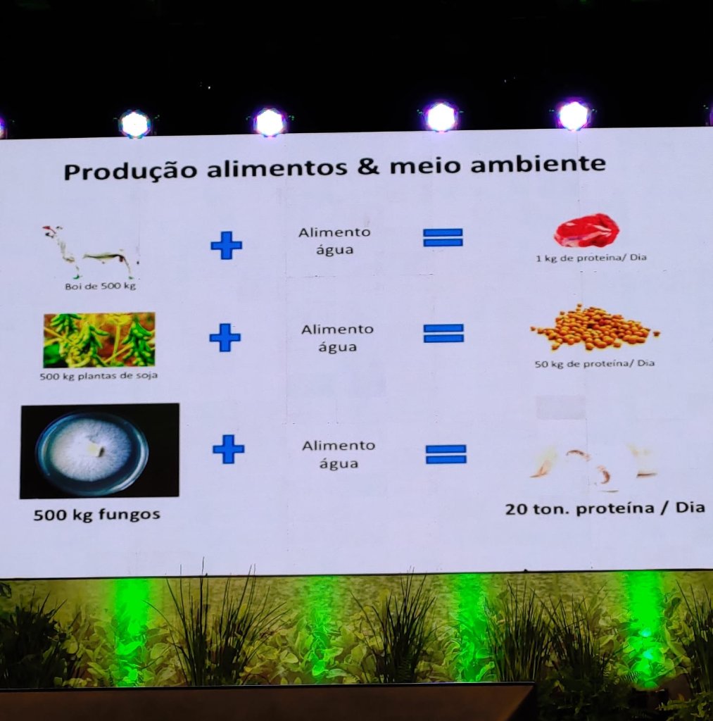 Por um sistema alimentar que regenere Daniel Gomes Cogumelos 1013x1024 - Por um sistema alimentar que regenere